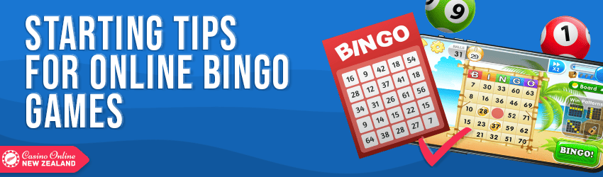 guide for beginners in bingo