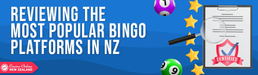 reviewing popular nz bingo casinos